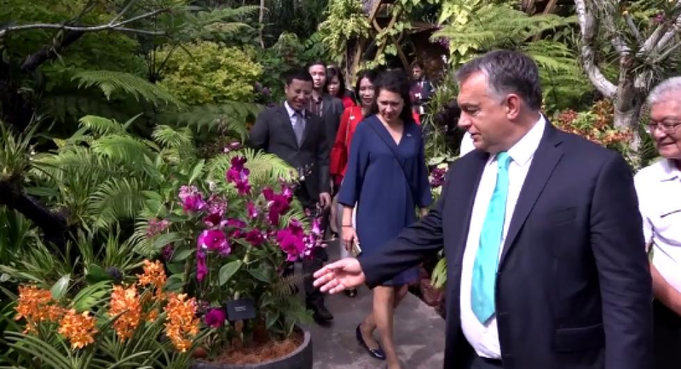 Orchideát neveztek el Orbán Viktorról a szingapúri látogatásán – videó