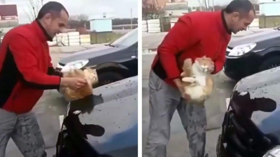Kóbor cicával mosta le az autóját a lelketlen orosz férfi – videó