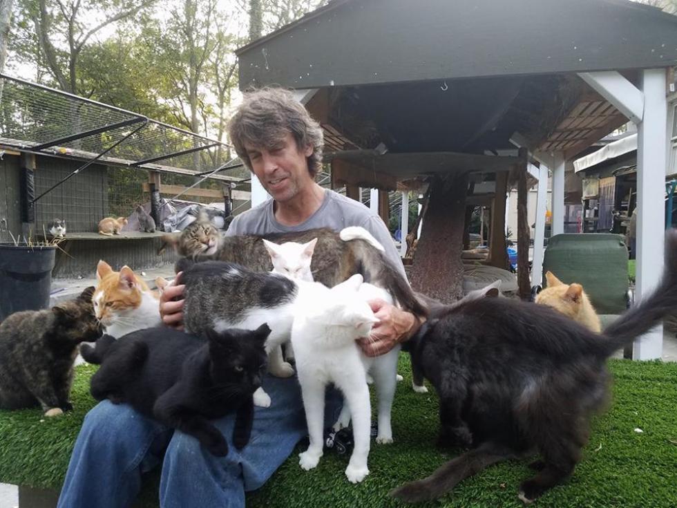 300 macska gondozásában talált örömöt a fiát gyászoló férfi