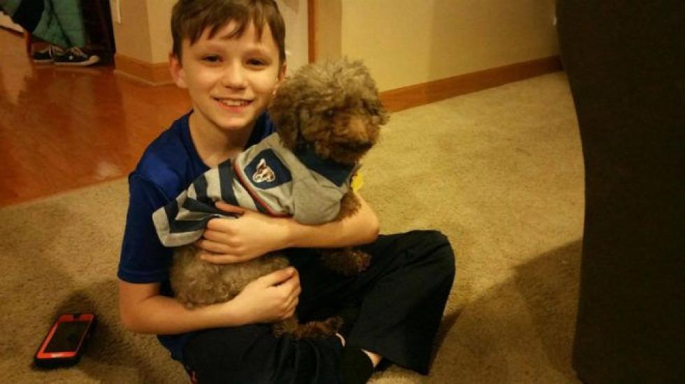 Legidősebb kutyát fogadta örökbe az amerikai kisfiú a menhelyről