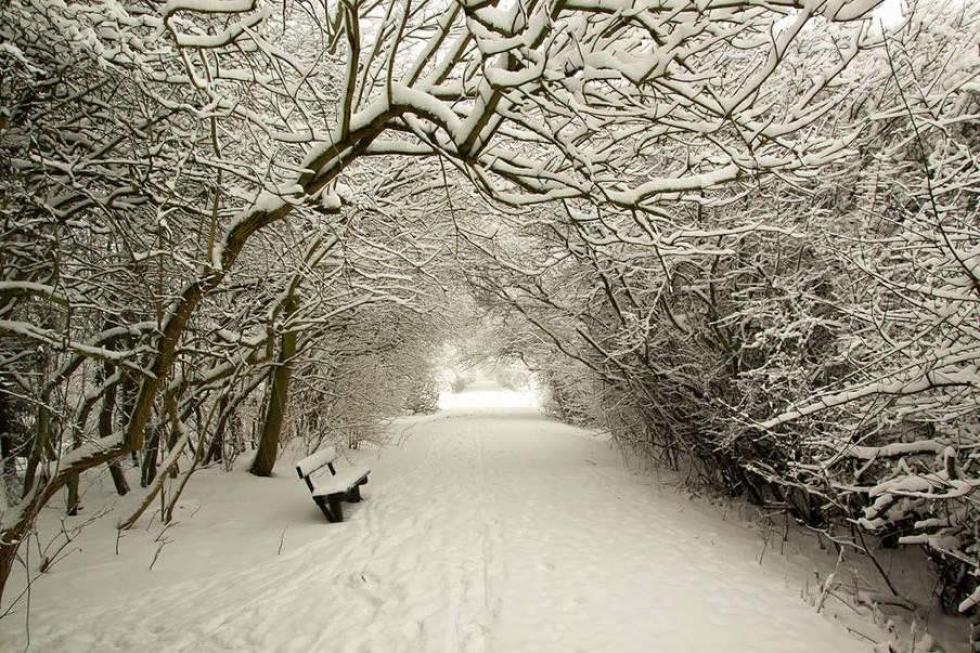 Téli hangolódás - nézegess gyönyörű havas tájképeket