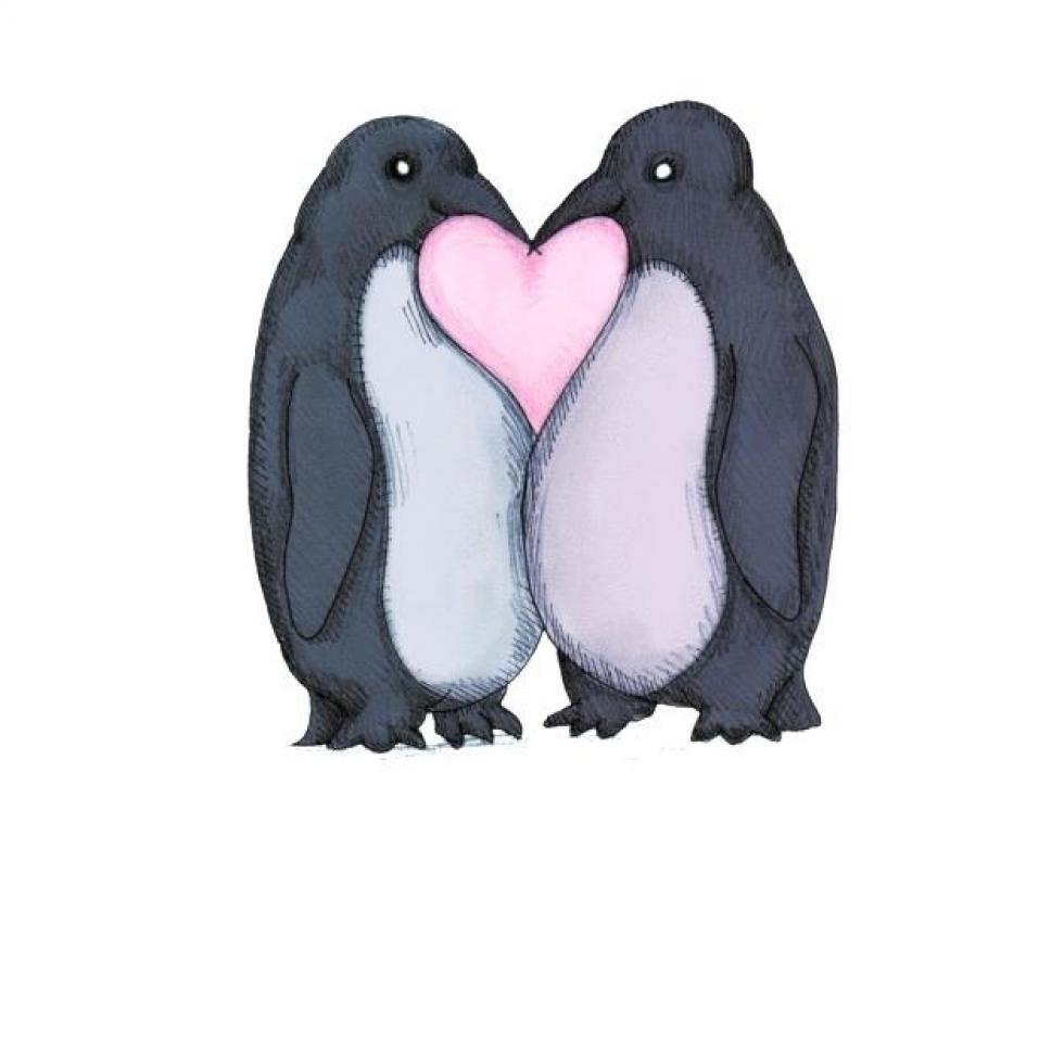 Nem csak aranyos, de igazán romantikus állat a pingvin