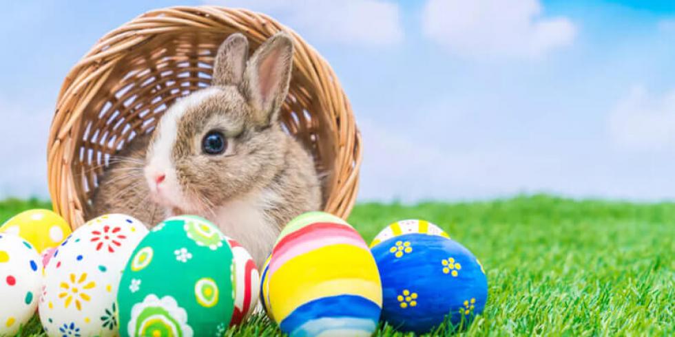 Hogyan ünnepeld idén a húsvétot?