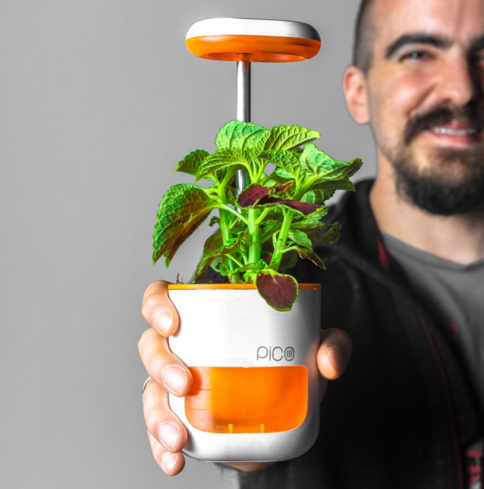 PICO Mini Garden okos növényápoló rendszer