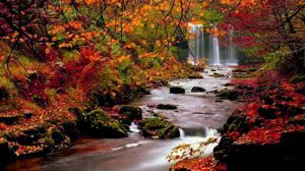 Tarts velünk egy kellemes virtuális őszi sétára! - gyönyörű, színes őszi képválogatás