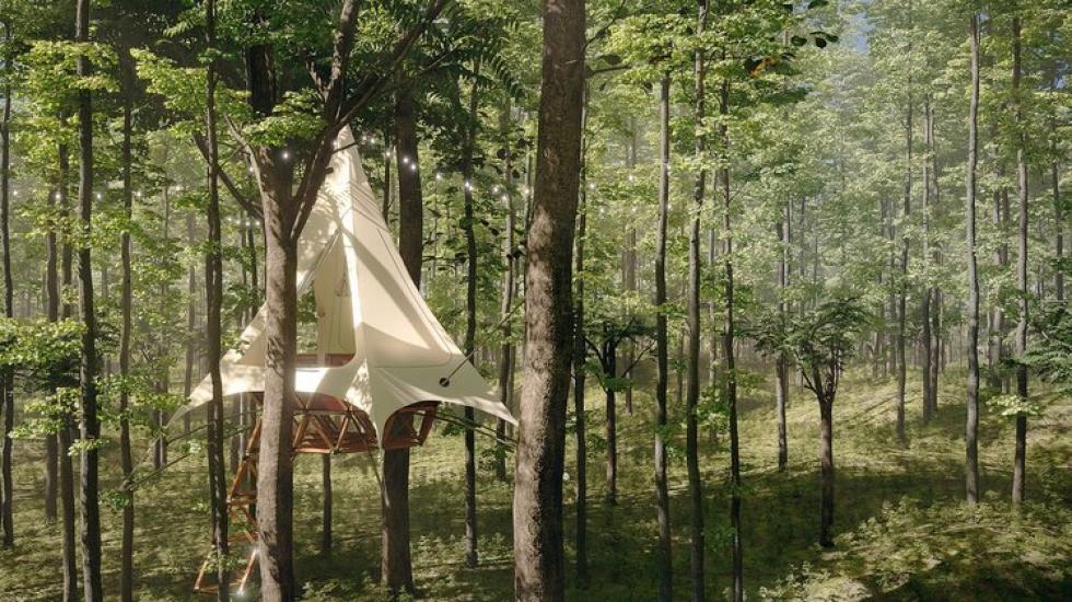 Hipp-hopp felépítheted a saját Airbnb-d az O2 erdőjáró-szállás opciójával