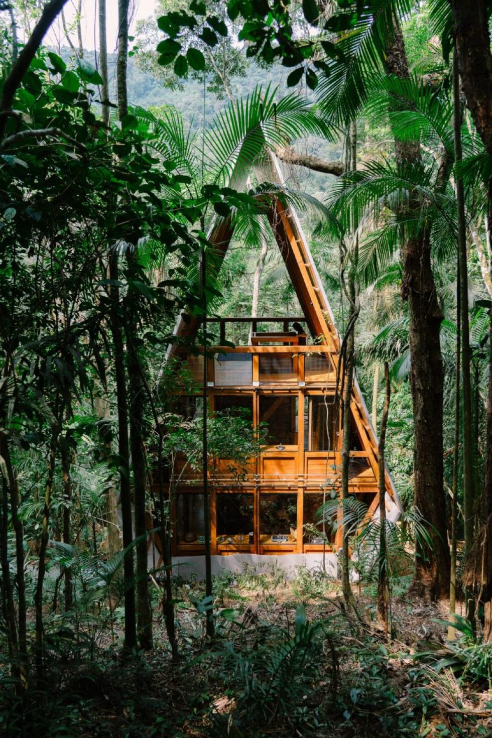 Monkey House: álomnyaraló a Brazil őserdő közepette