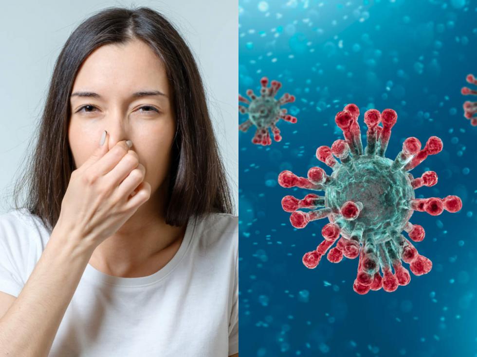 Így nyerheted vissza a szaglásod, amit a koronavírus orozott el tőled