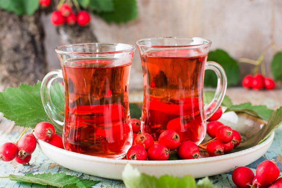 Egészséges szív és érrendszer - ismerd meg a galagonya tea jótékony hatásait