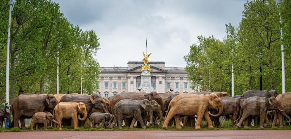 Életnagyságú elefántszobrok hívják fel a figyelmet a természetvédelemre szerte Londonban