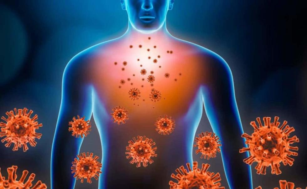 5 érdekes tény az immunrendszeredről