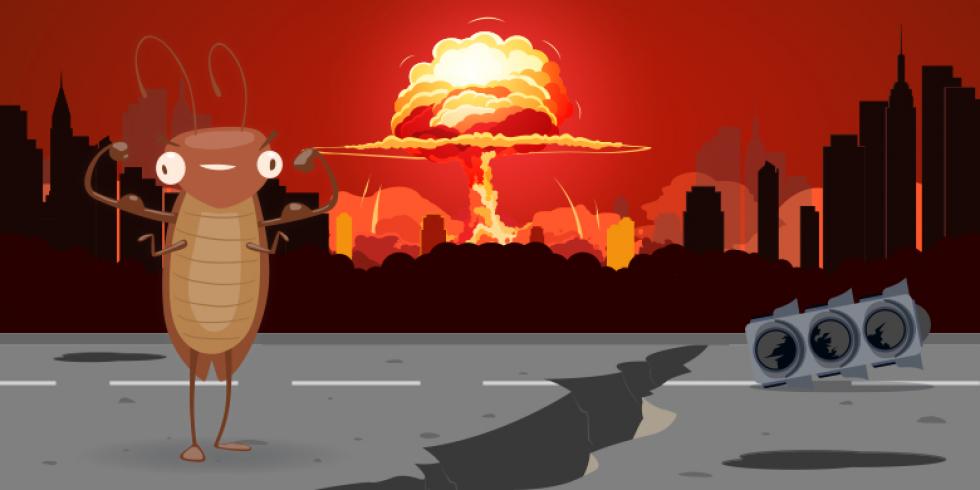 Tényleg túlélik a csótányok az atomrobbanást?