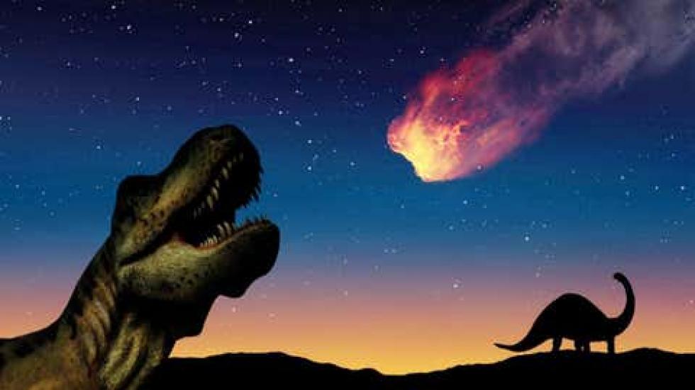 5 érdekes tény a dinoszauruszokról, amikről eddig talán nem tudtál