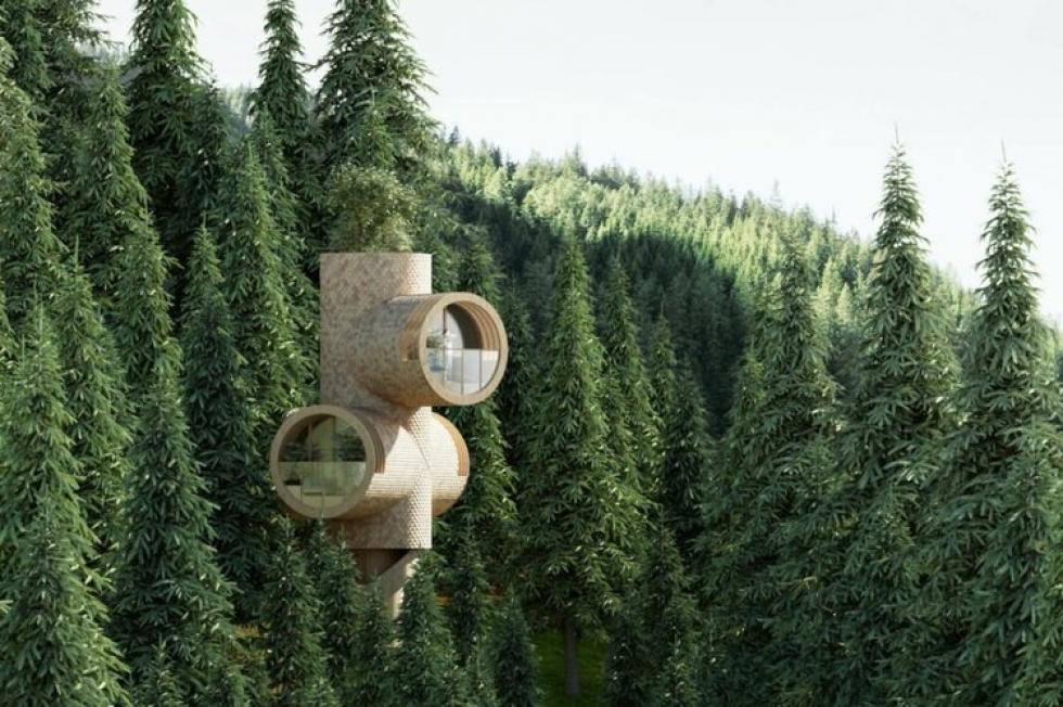 A Bert moduláris faház a körülötte lévő erdővel szimbiózisban “növekedhet”