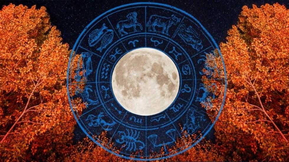 Heti horoszkóp (november 07. – november 13.)