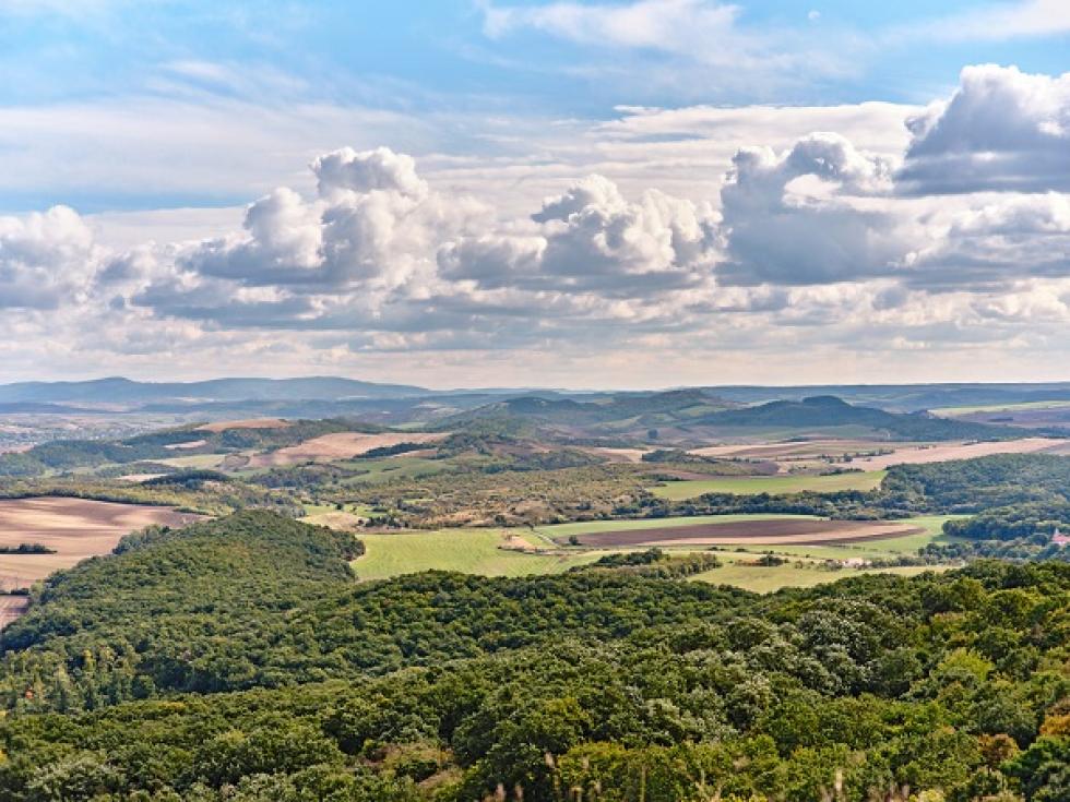 Közösen az erdők védelméért