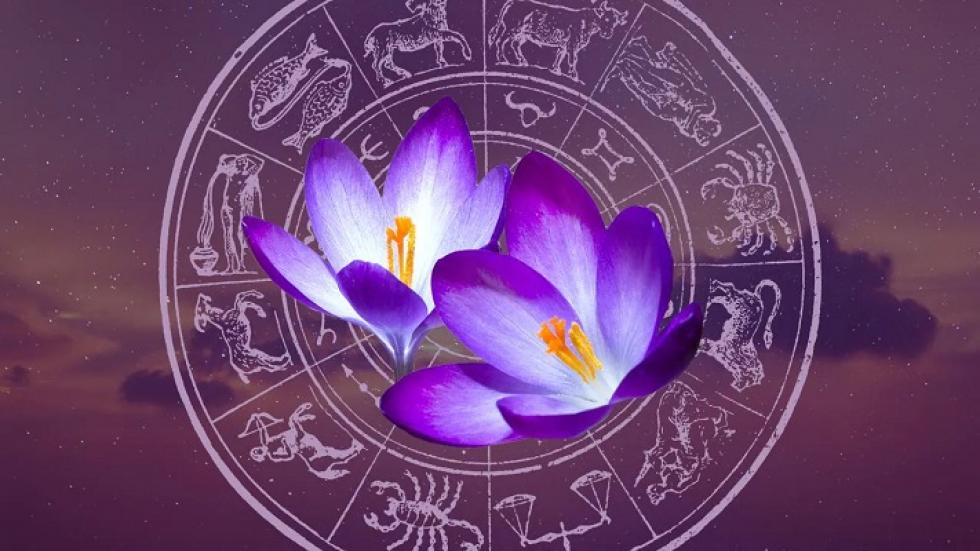 Heti horoszkóp (augusztus 11. – augusztus 17.)