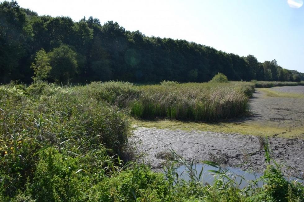 Leeresztették a tavat