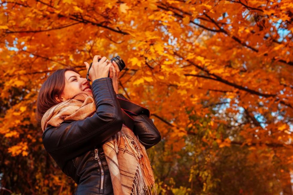 Őszi programajánló