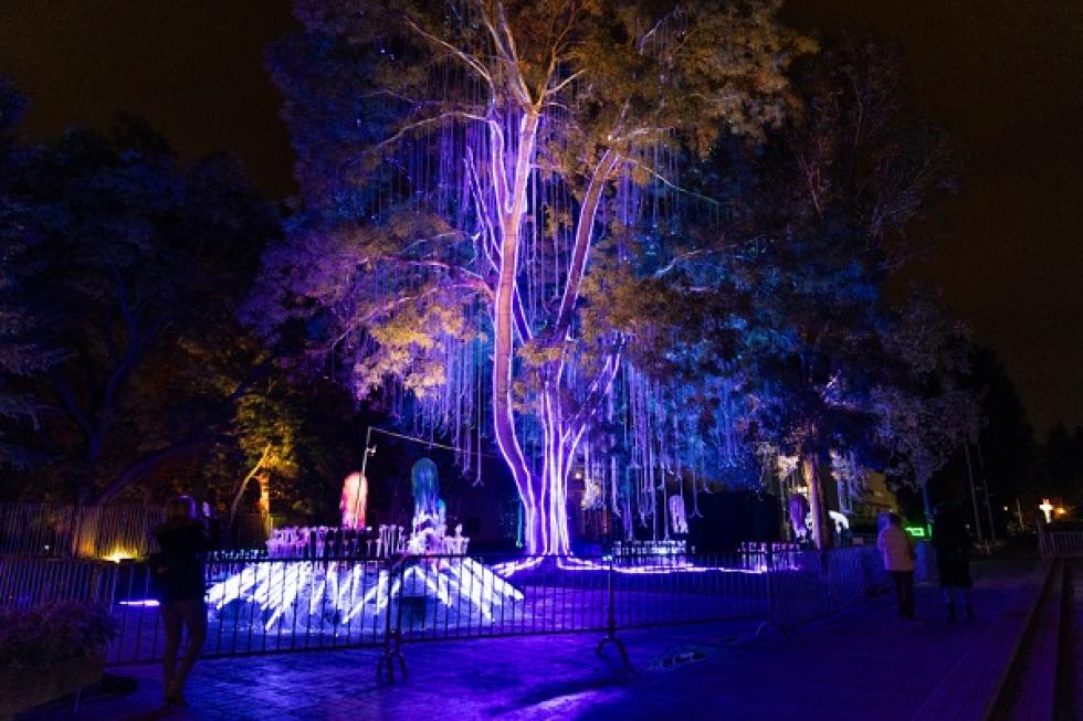 Megnyílt a Lumina Park a Palatinus fürdőben