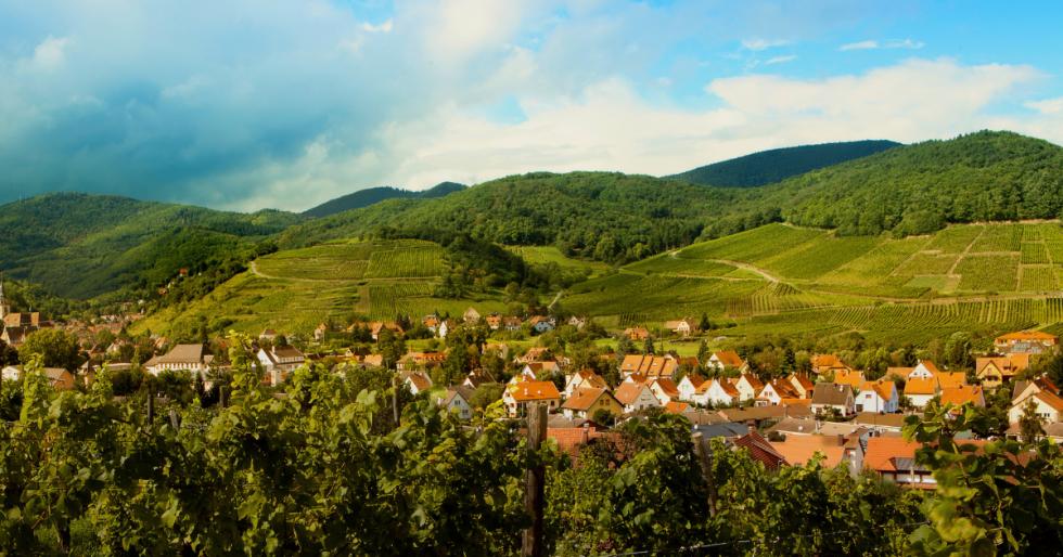 Miért választják egyre többen a vidéki életet családalapításkor?