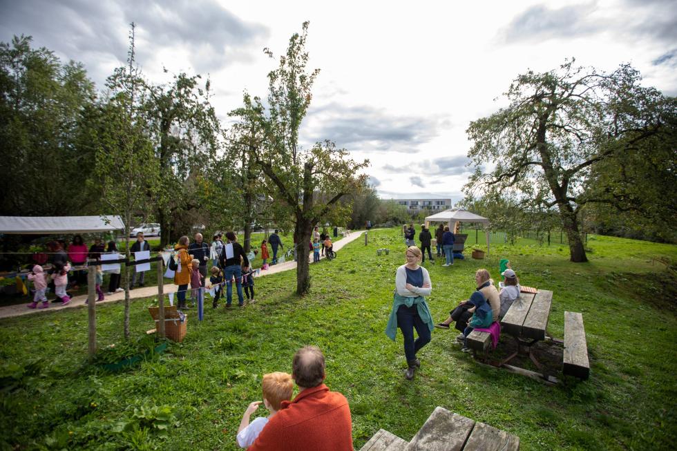 „Ehető szomszédságnak” nevezték az 1 000 gyümölcsfa és 220 ehető növényfajjal körülvett területet Hollandiában