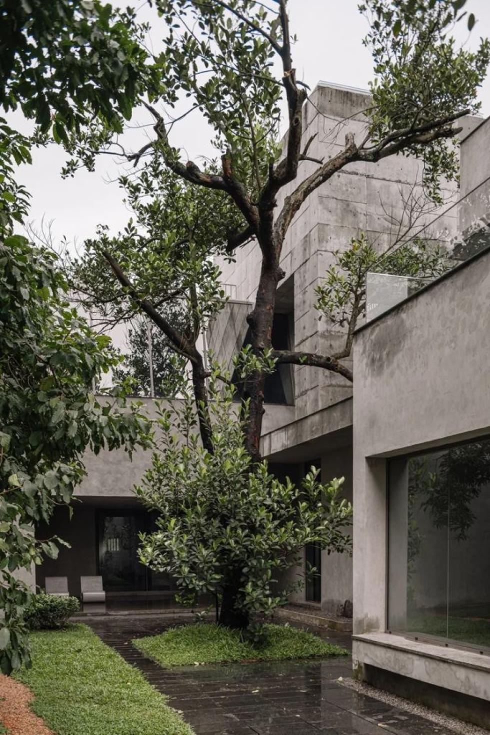 Zen House: egy ház, ami igazi szentélyként épült