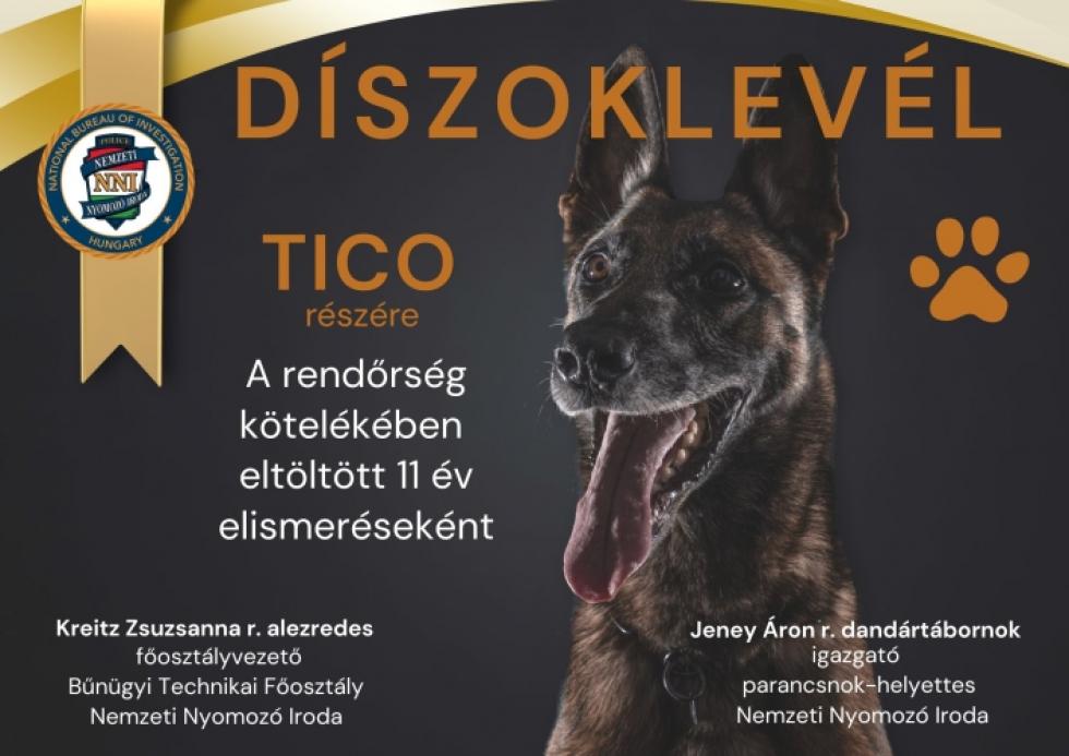 Szolgálat teljesítve: nyugdíjba vonul Tico, az NNI négylábú hőse