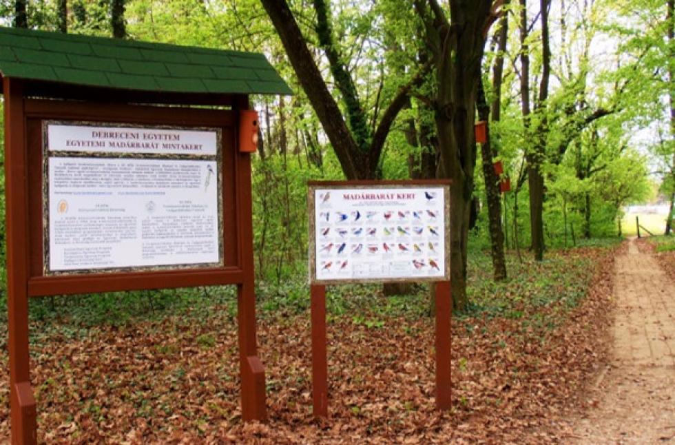 Tíz éves az ország első egyetemi madárbarát mintakertje Debrecenben