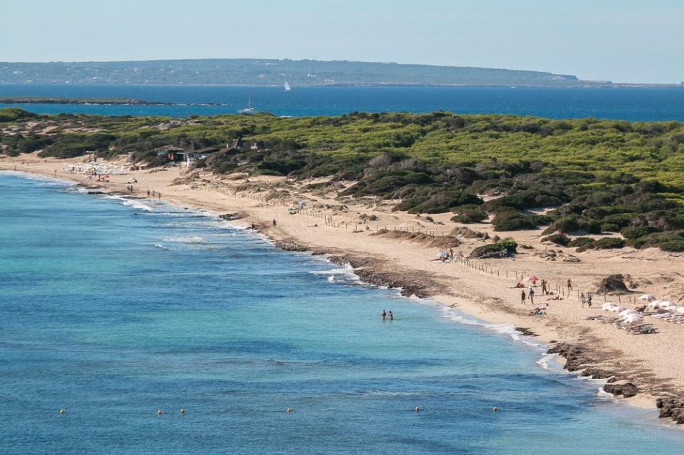 A turisták kedvéért eltüntettet barna növényhalmok miatt gyorsulhatnak fel a strandok pusztulása