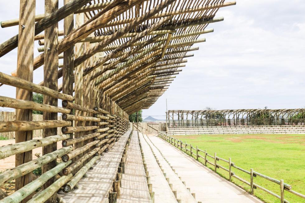 Eukaliptusz oszlopokkal épült fenntartható stadion Lesothóban