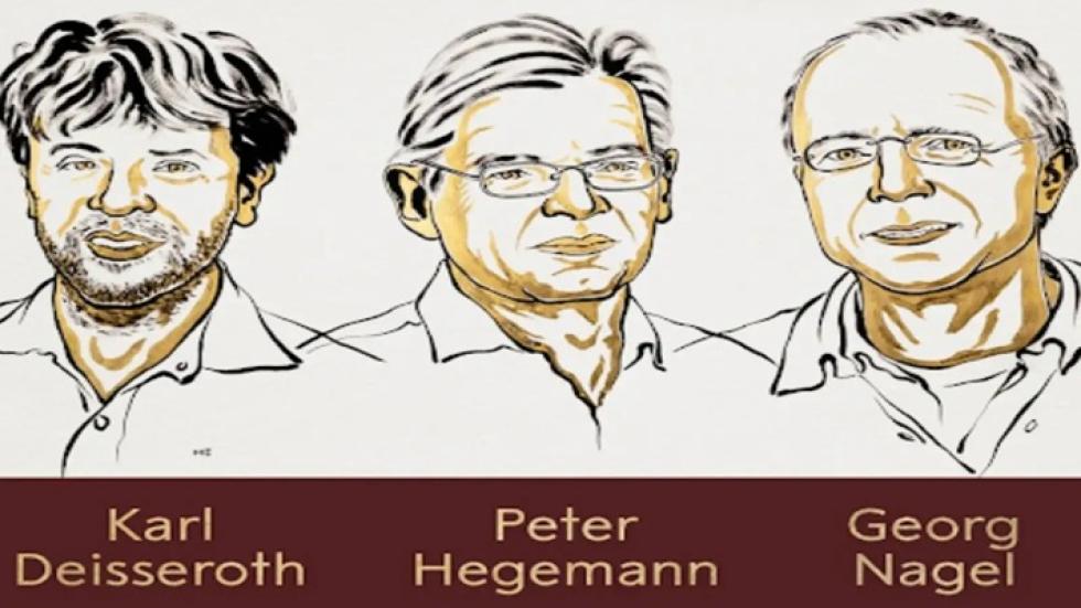 Karl Deisseroth, Peter Hegemann és Georg Nagel kapja idén az orvosi-élettani Nobel-díjat