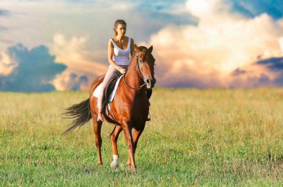Ebből a tesztből kiderülhet, hogy mit keresel az életben