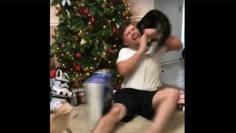 Öröme miatt támadt rá a macskája az ajándékot bontó férfira – videó