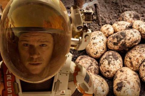 A Marson lehet krumplit termeszteni - videó