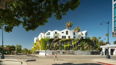 Amerika “legnagyobb élő fala”