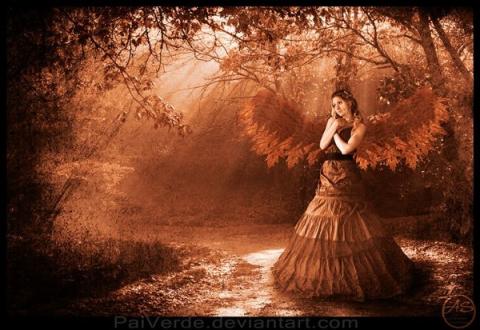 Az angyalok októberi tanácsa