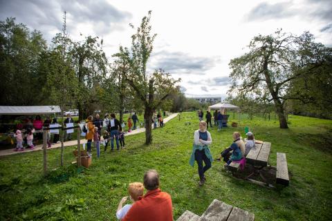 „Ehető szomszédságnak” nevezték az 1 000 gyümölcsfa és 220 ehető növényfajjal körülvett területet Hollandiában