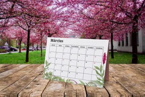 Márciusi dátumok