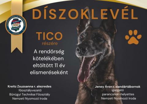 Szolgálat teljesítve: nyugdíjba vonul Tico, az NNI négylábú hőse