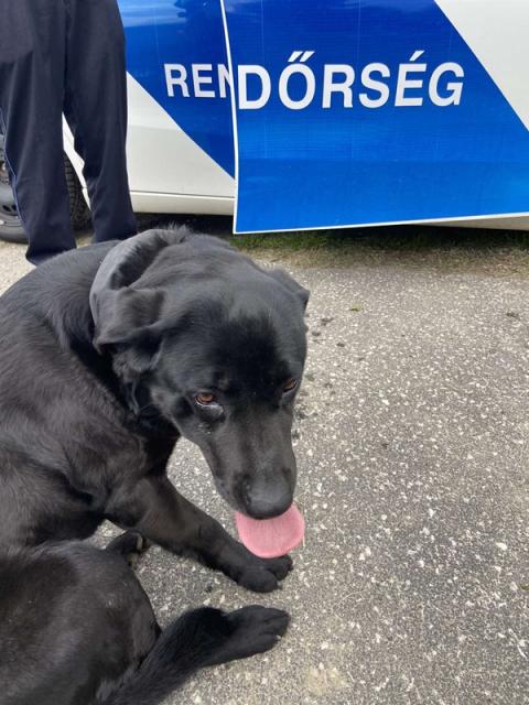 Váratlan befutó a sebességmérő akcióban