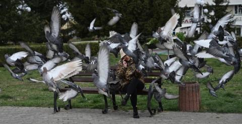 A városi madarak jobban félnek a nőktől, mint a férfiaktól