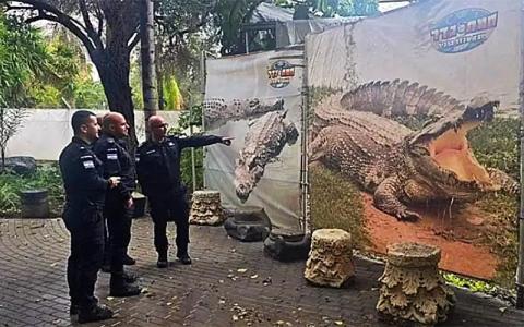 Átminősítették a nílusi krokodilt Izraelben, így már felhasználható börtönök őrzésére is
