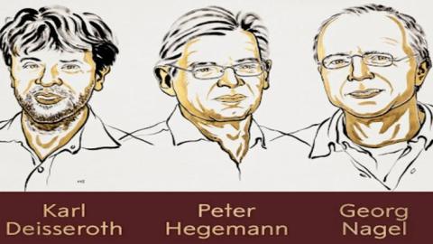 Karl Deisseroth, Peter Hegemann és Georg Nagel kapja idén az orvosi-élettani Nobel-díjat
