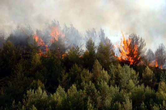 Már Görögországban is pusztít az erdőtűz