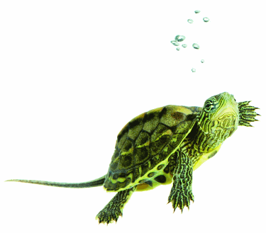 Élő bomba zuhant ki az emeletről