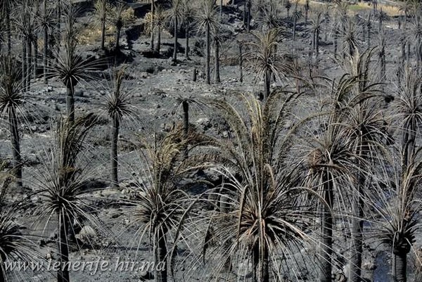 Kanári-Szigetek hatalmas pusztítást végzett a tűz