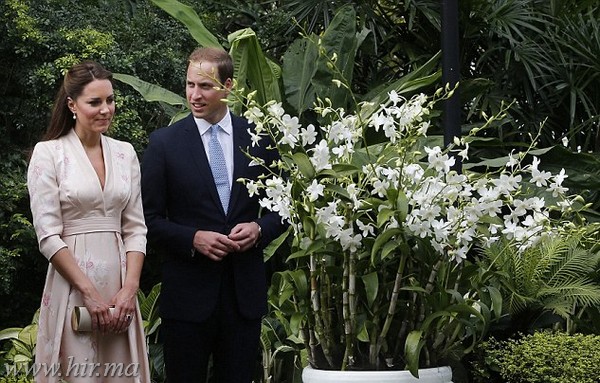 Az angol hercegi pár látogatása a híres szingapúri Orchidea parkban (képgaléria)