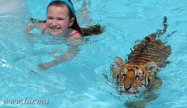 Ússz tigrissel 200$- ért