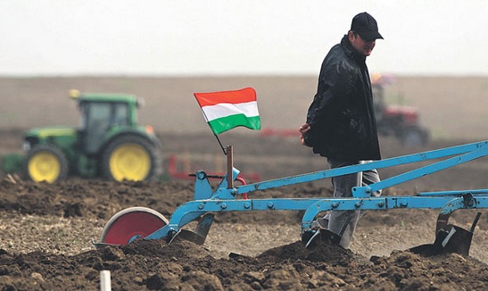 Visszafoglalták a gazdák a Fidesz által kiosztott földet